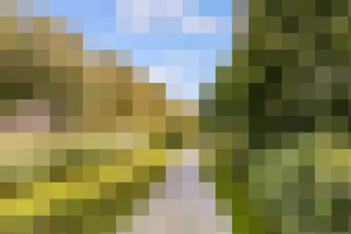 Habanerastraat 6 Almere thumbnail 33