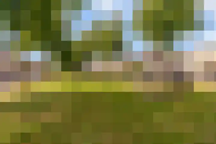Habanerastraat 6 Almere thumbnail 34