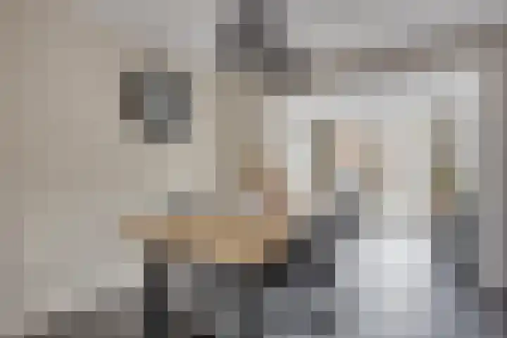 Habijt 105 Grootebroek thumbnail 14
