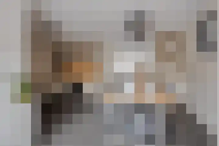 Habijt 105 Grootebroek thumbnail 17