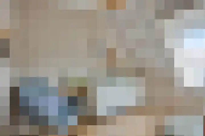 Habijt 105 Grootebroek thumbnail 27