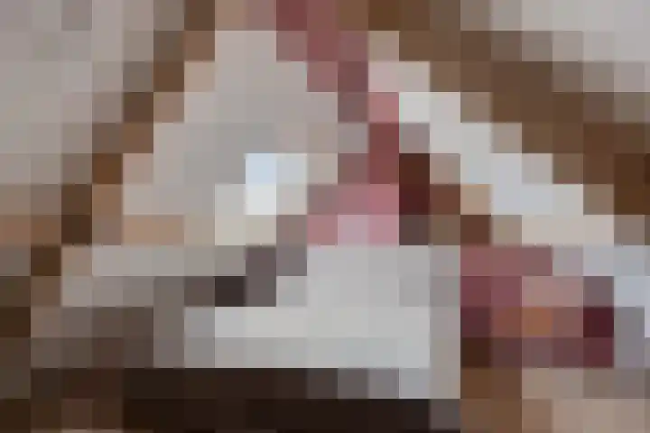 Habijt 105 Grootebroek thumbnail 30