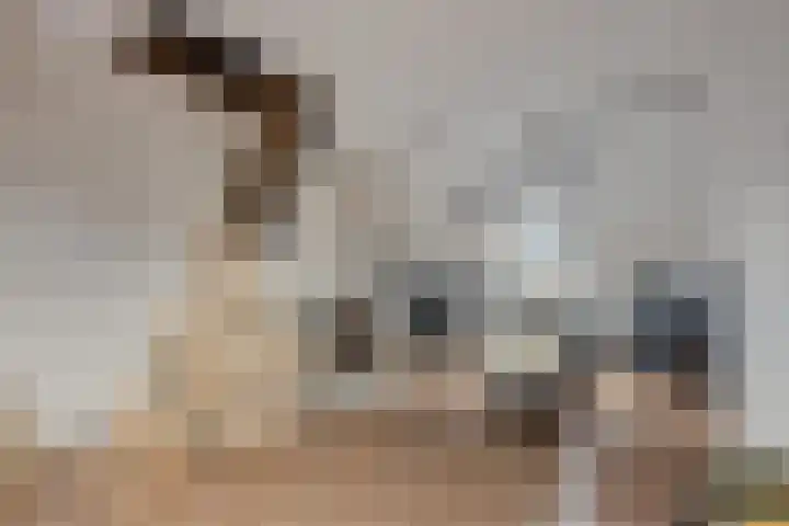 Habijt 105 Grootebroek thumbnail 33
