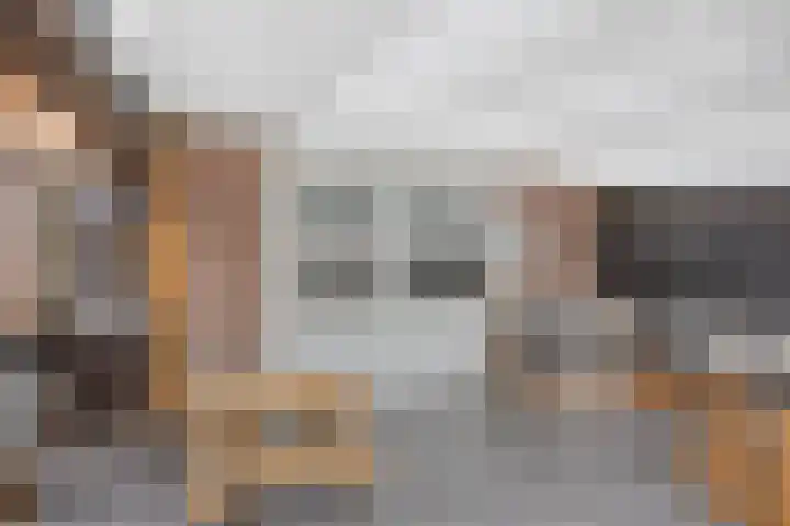 Habijt 105 Grootebroek thumbnail 38