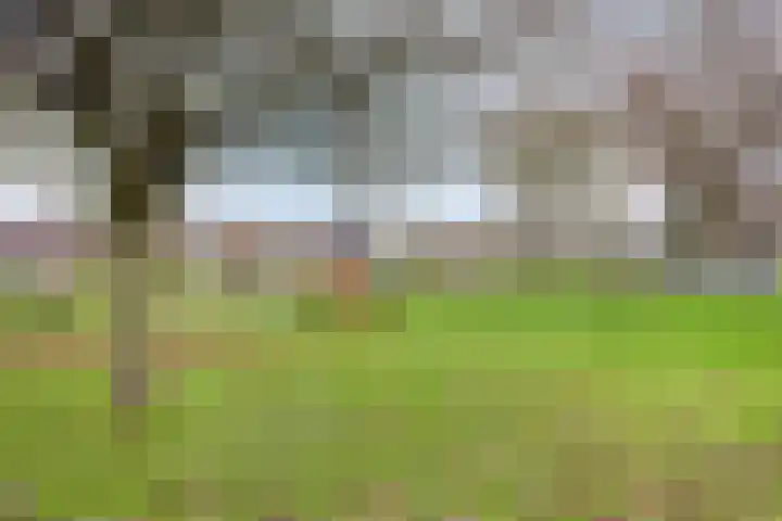 Habijt 105 Grootebroek thumbnail 40