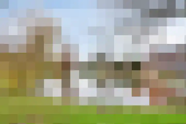 Habijt 105 Grootebroek thumbnail 41