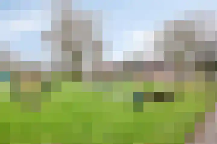 Habijt 105 Grootebroek thumbnail 42