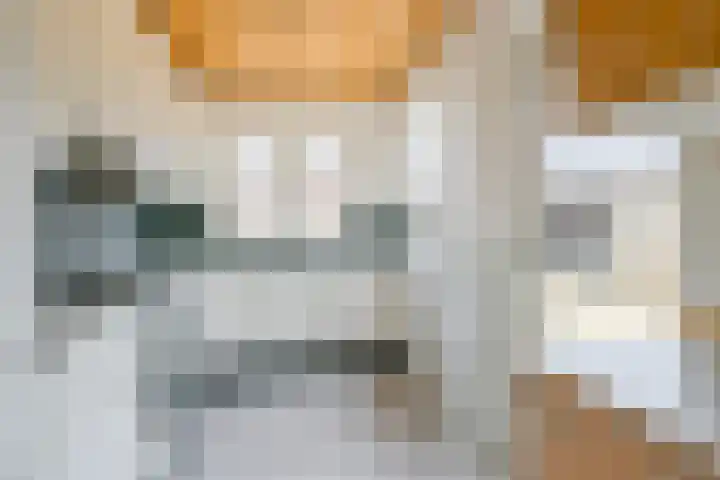 Habijt 15 Grootebroek thumbnail 13