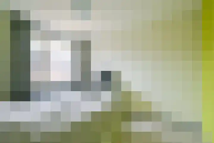 Habijt 15 Grootebroek thumbnail 17