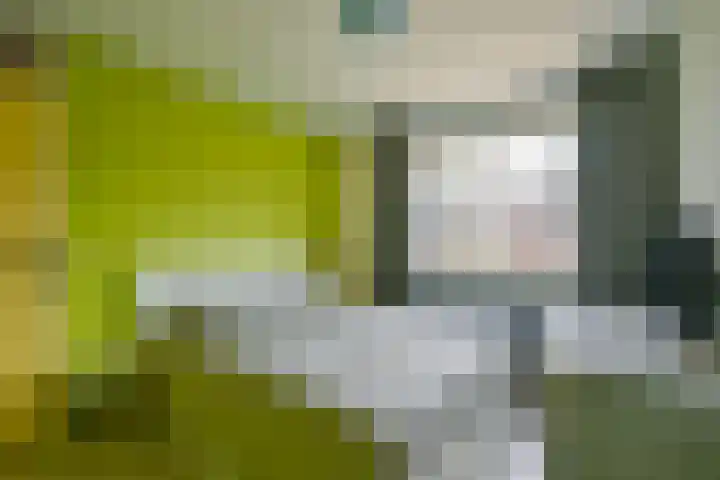 Habijt 15 Grootebroek thumbnail 18