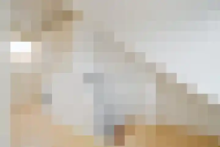 Habijt 15 Grootebroek thumbnail 29