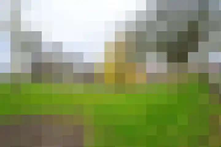 Habijt 15 Grootebroek thumbnail 39
