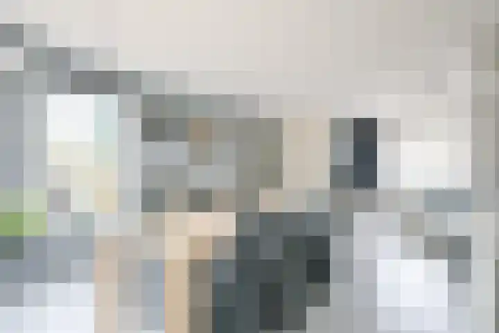 Habijt 15 Grootebroek thumbnail 4