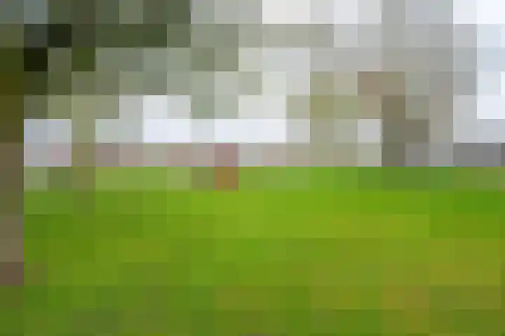 Habijt 15 Grootebroek thumbnail 40