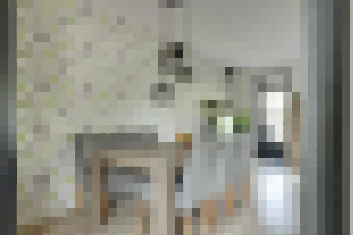 Habijt 24 Grootebroek thumbnail 10
