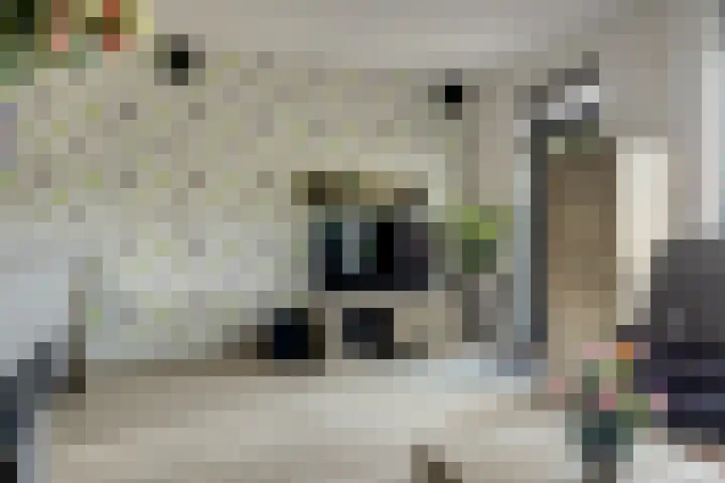 Habijt 24 Grootebroek thumbnail 12