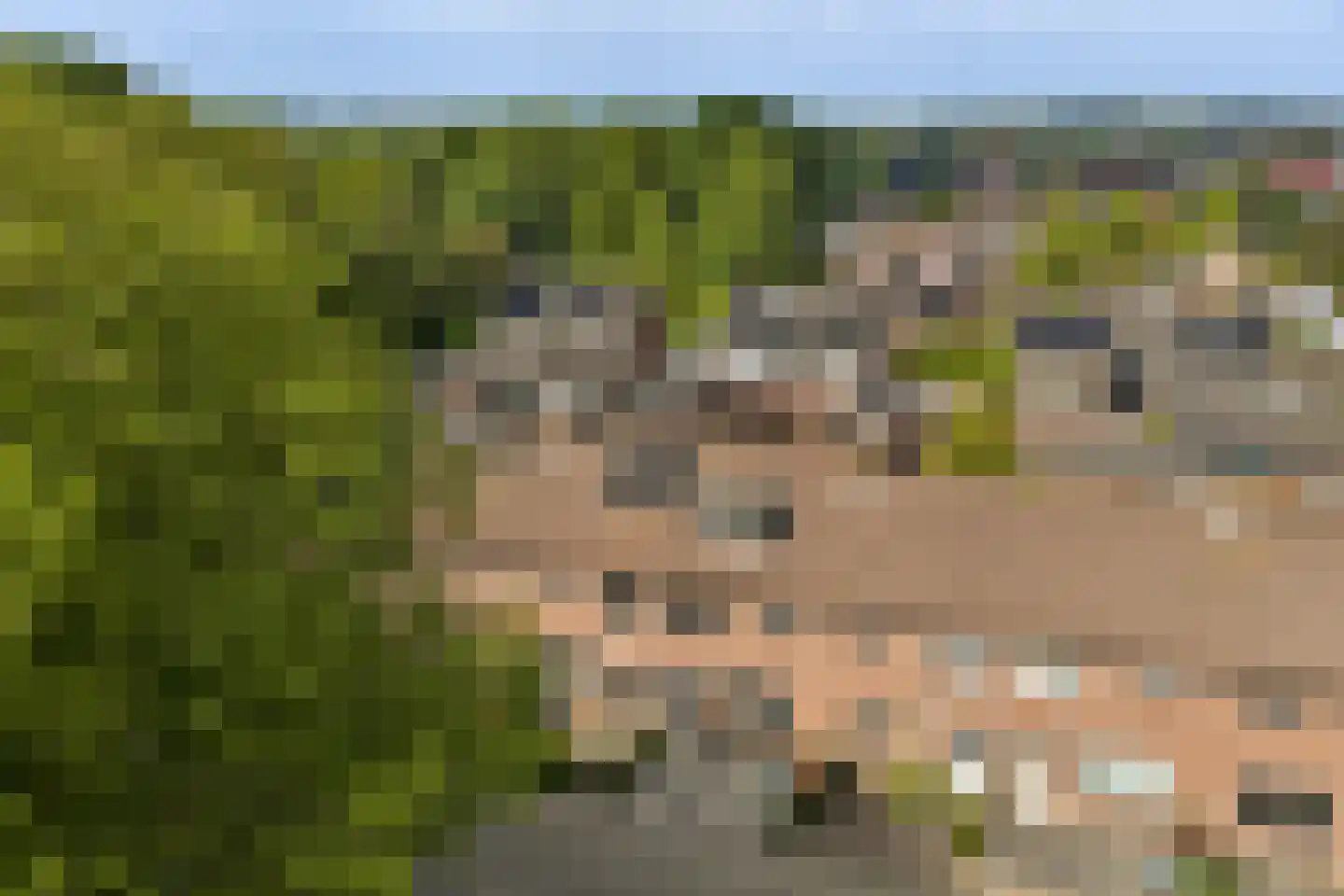Habijt 24 Grootebroek thumbnail 4