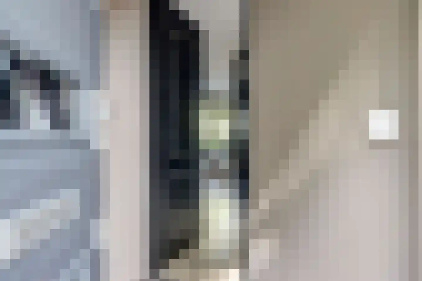 Habijt 24 Grootebroek thumbnail 6