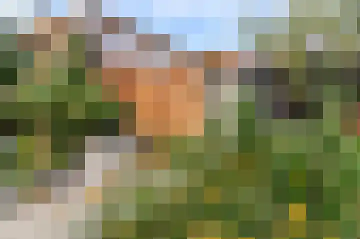 Habijt 4 Grootebroek thumbnail 28