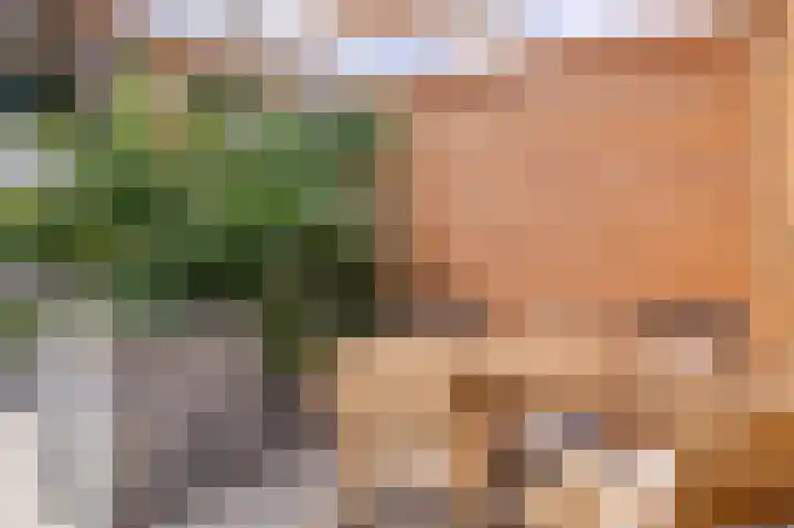 Habijt 4 Grootebroek thumbnail 29
