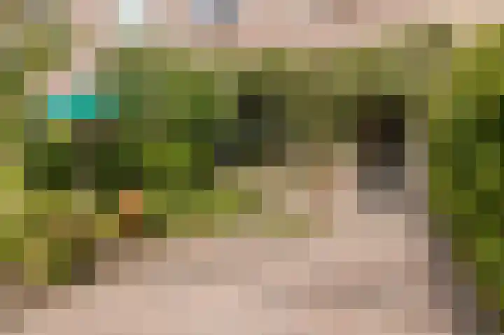 Habijt 4 Grootebroek thumbnail 7