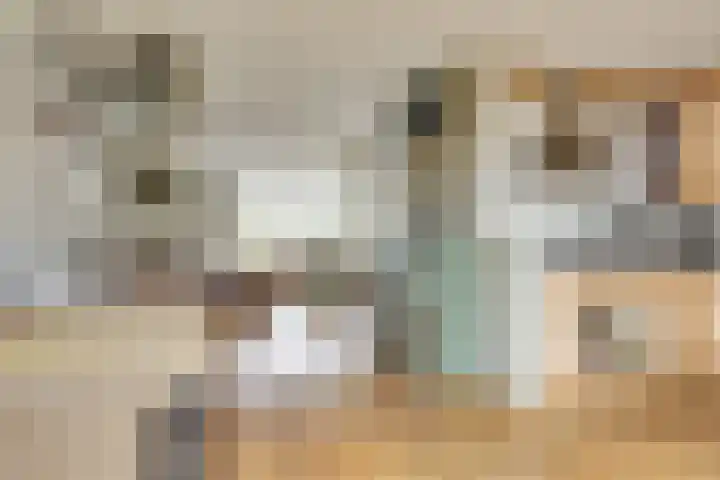 Habijt 91 Grootebroek thumbnail 12