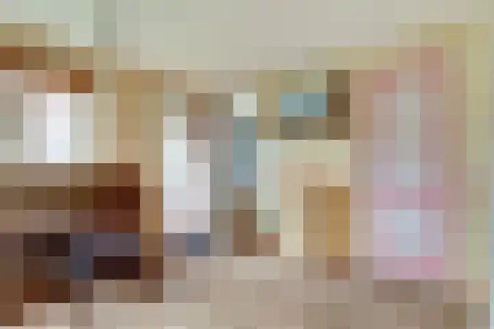 Habijt 91 Grootebroek thumbnail 13