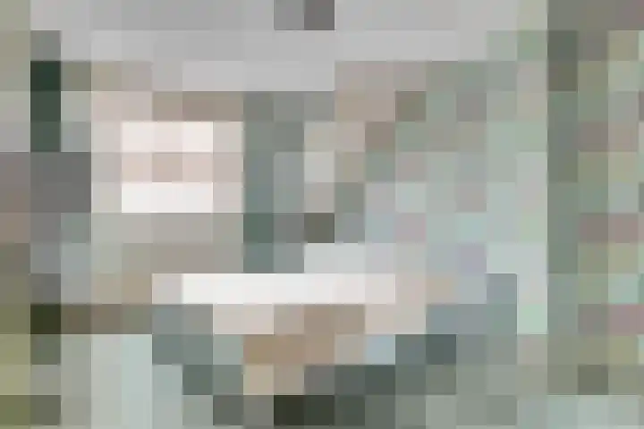 Habijt 91 Grootebroek thumbnail 16