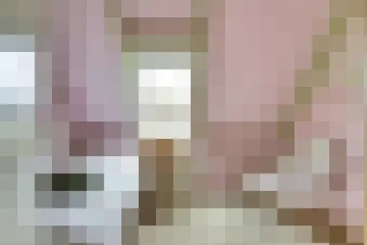 Habijt 91 Grootebroek thumbnail 18