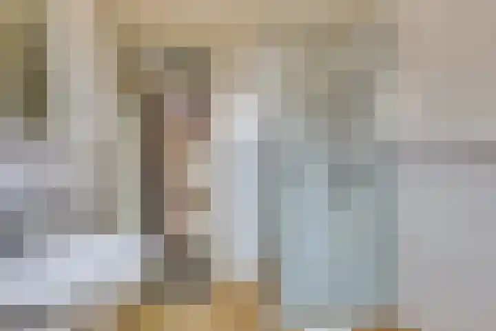 Habijt 91 Grootebroek thumbnail 21