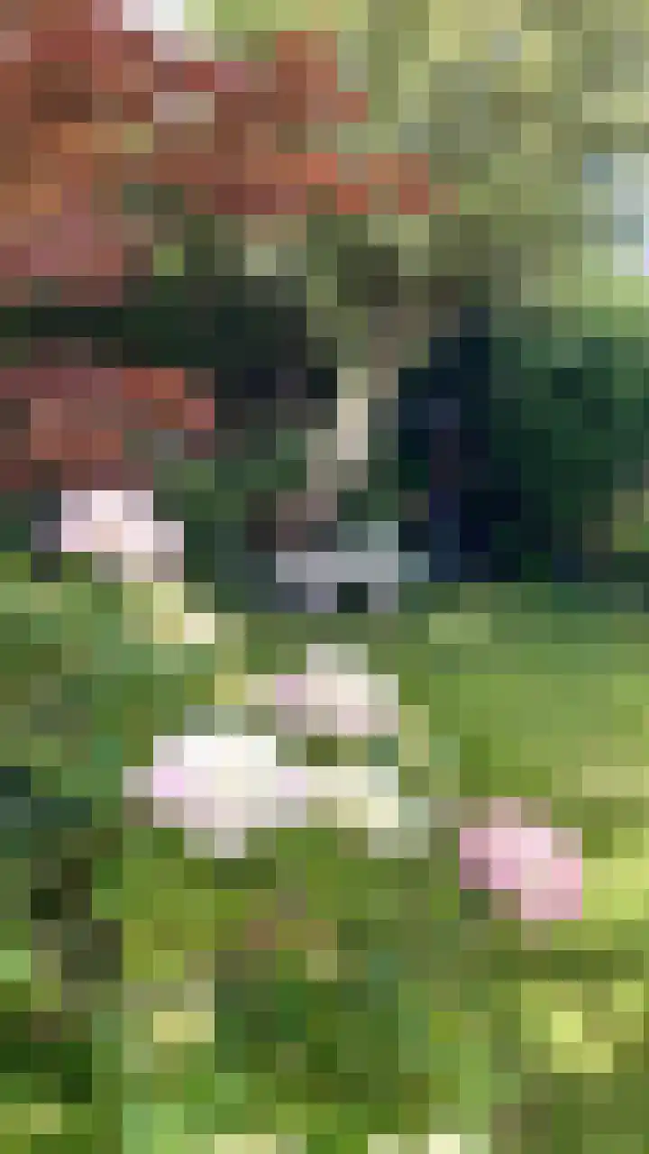 Habijt 91 Grootebroek thumbnail 27
