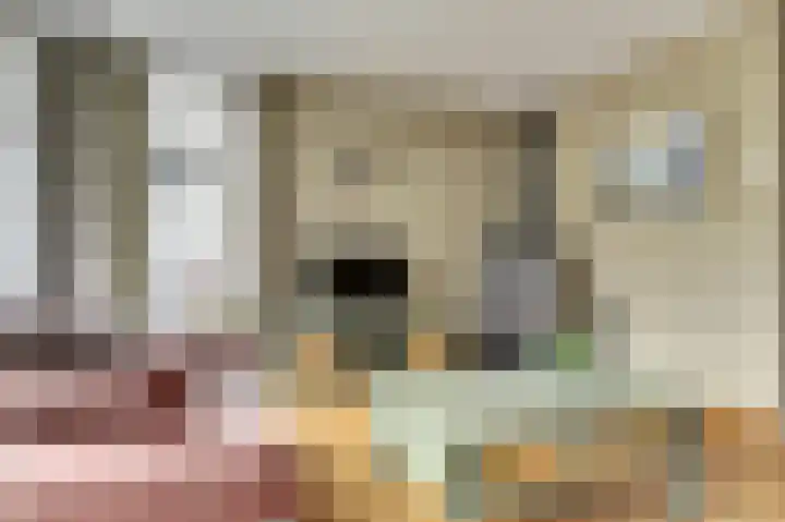 Habijt 91 Grootebroek thumbnail 6