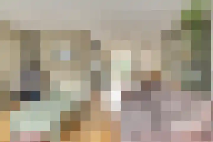 Habijt 91 Grootebroek thumbnail 7