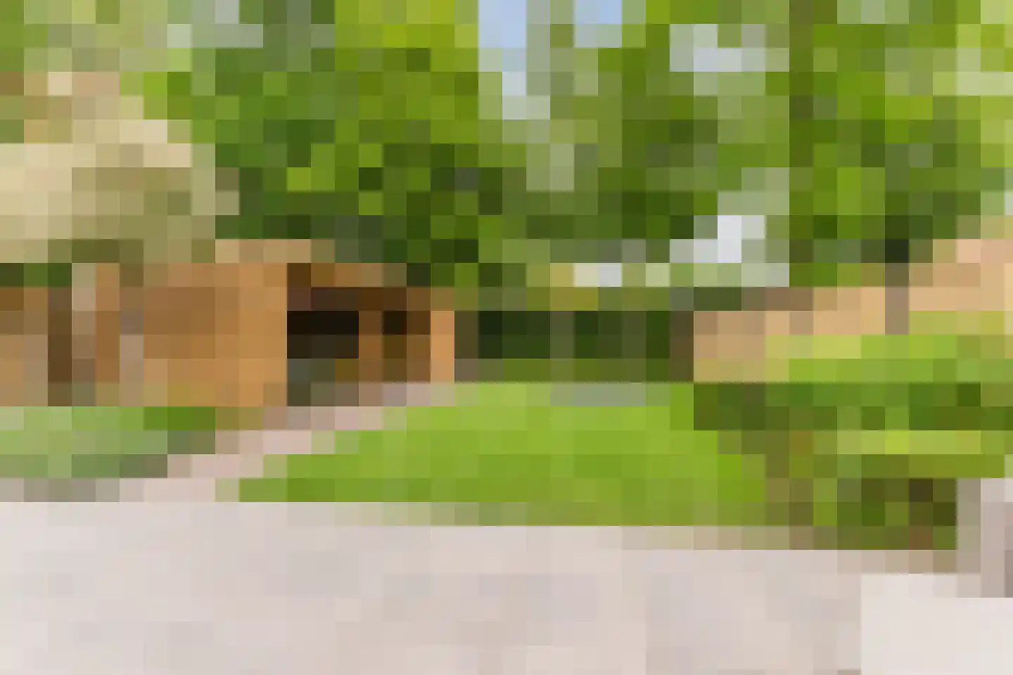 Habijtstraat 17 Berkel-Enschot thumbnail 5