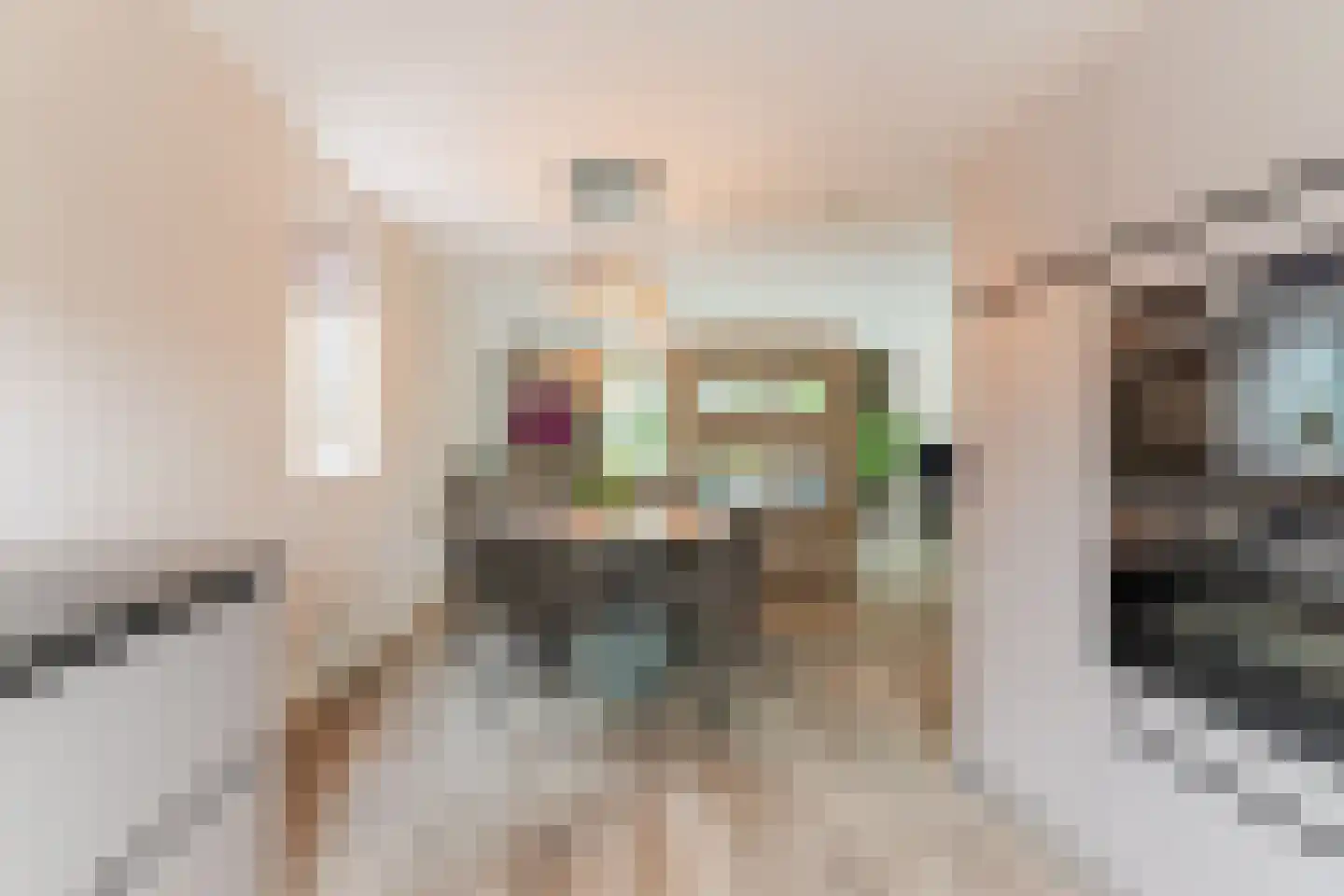 Habijtstraat 17 Berkel-Enschot thumbnail 8