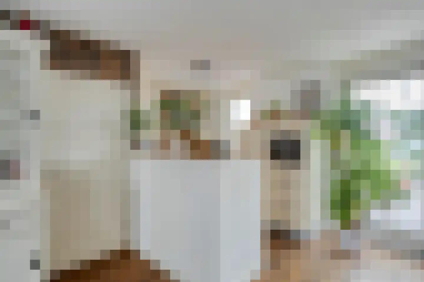 Habsburgerplein 17 Maastricht thumbnail 10