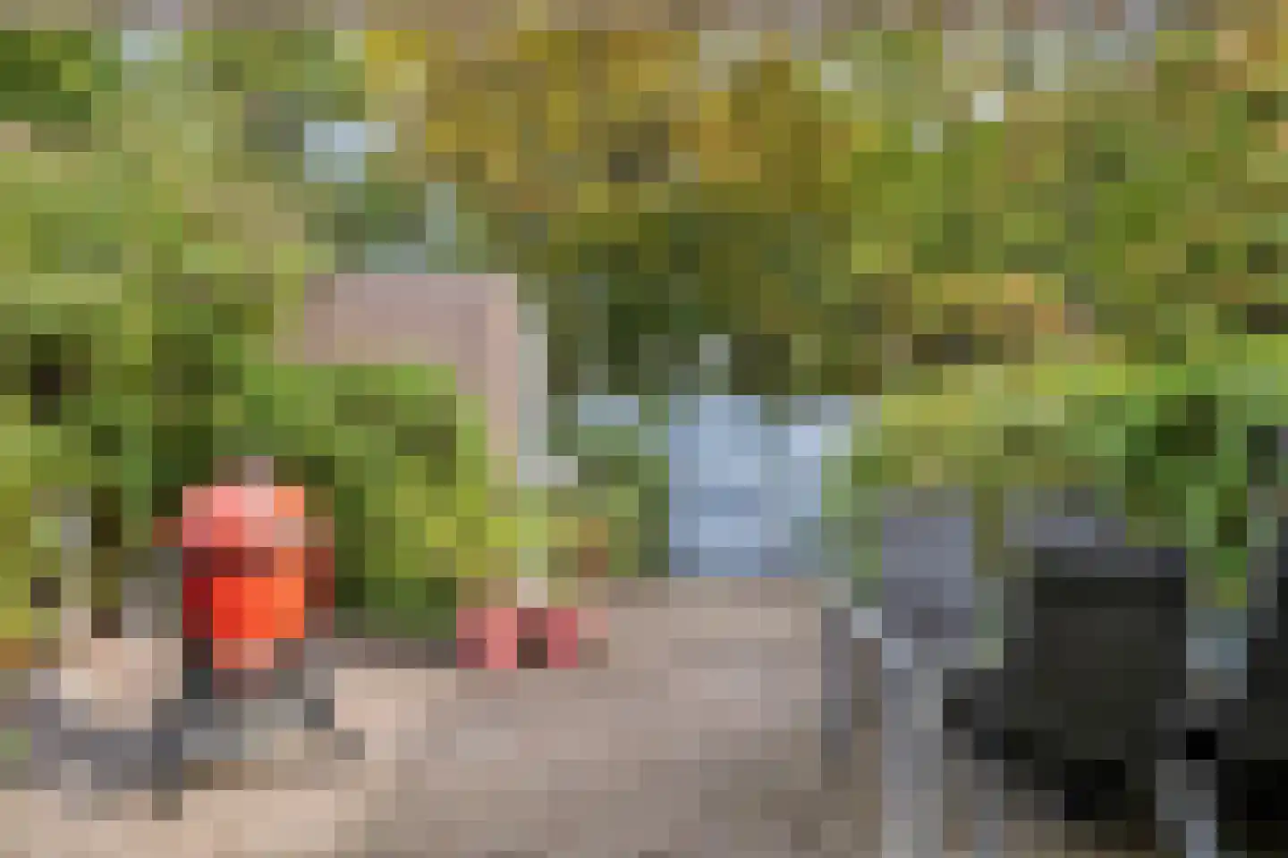 Habsburgerplein 17 Maastricht thumbnail 25