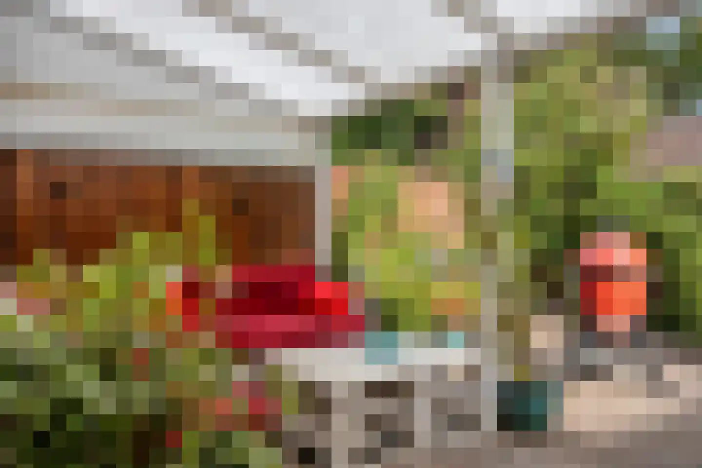 Habsburgerplein 17 Maastricht thumbnail 28