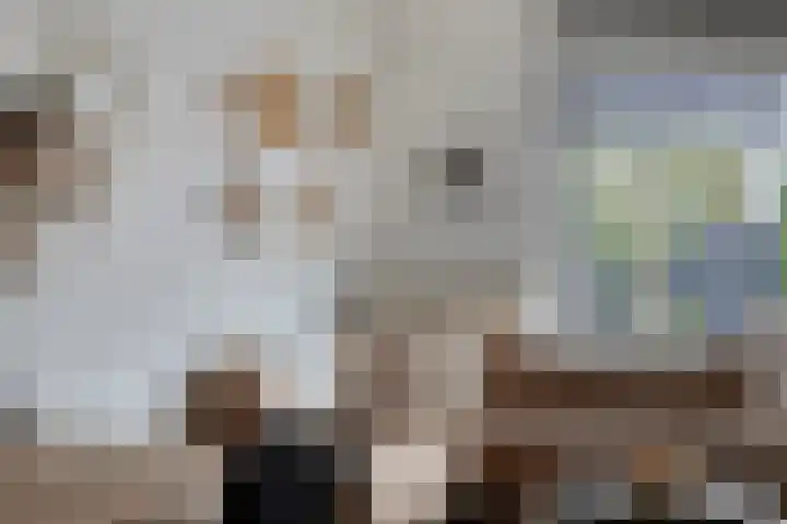 Habsburgerplein 41 Maastricht thumbnail 6