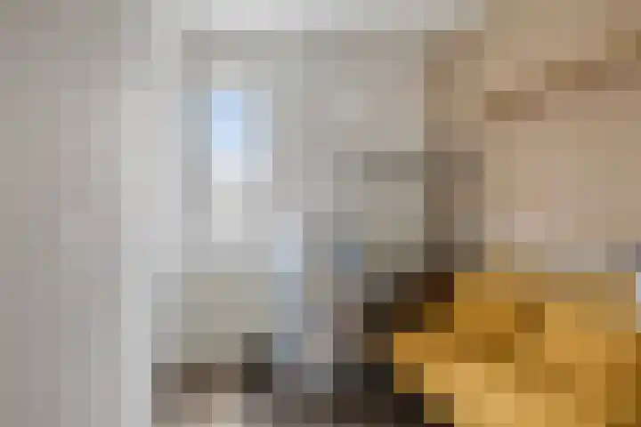 Habsburgerstraat 12 Maastricht thumbnail 17