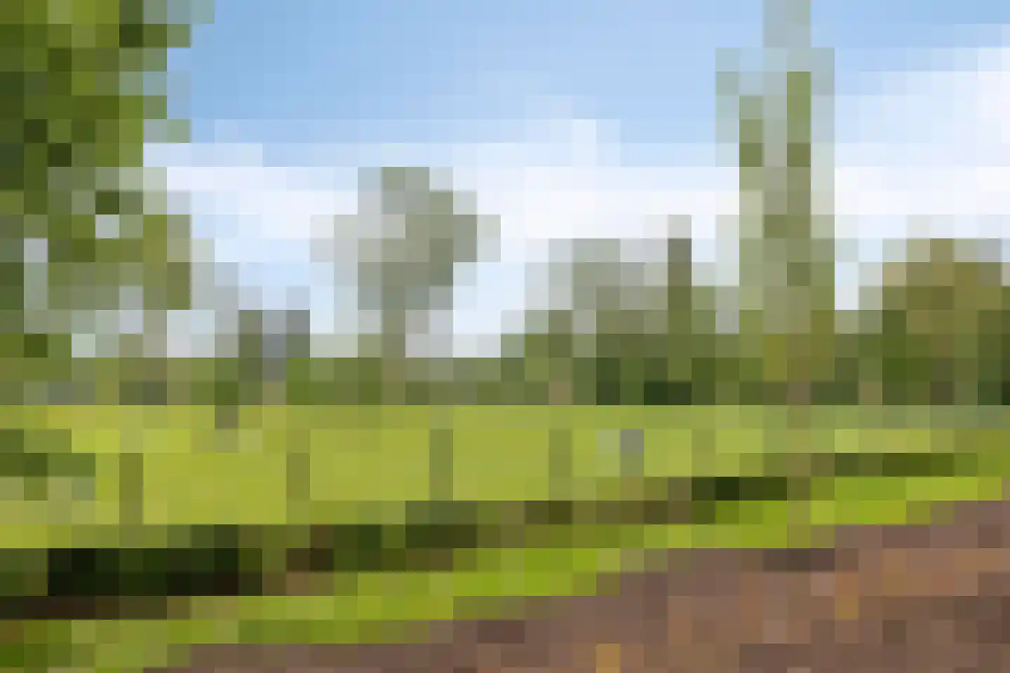 Habsburglaan 75 Eindhoven thumbnail 45