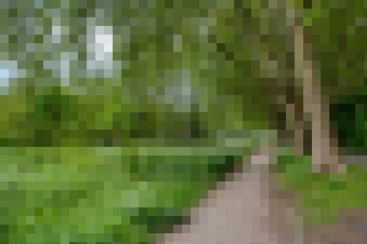 Habsburglaan 75 Eindhoven thumbnail 46