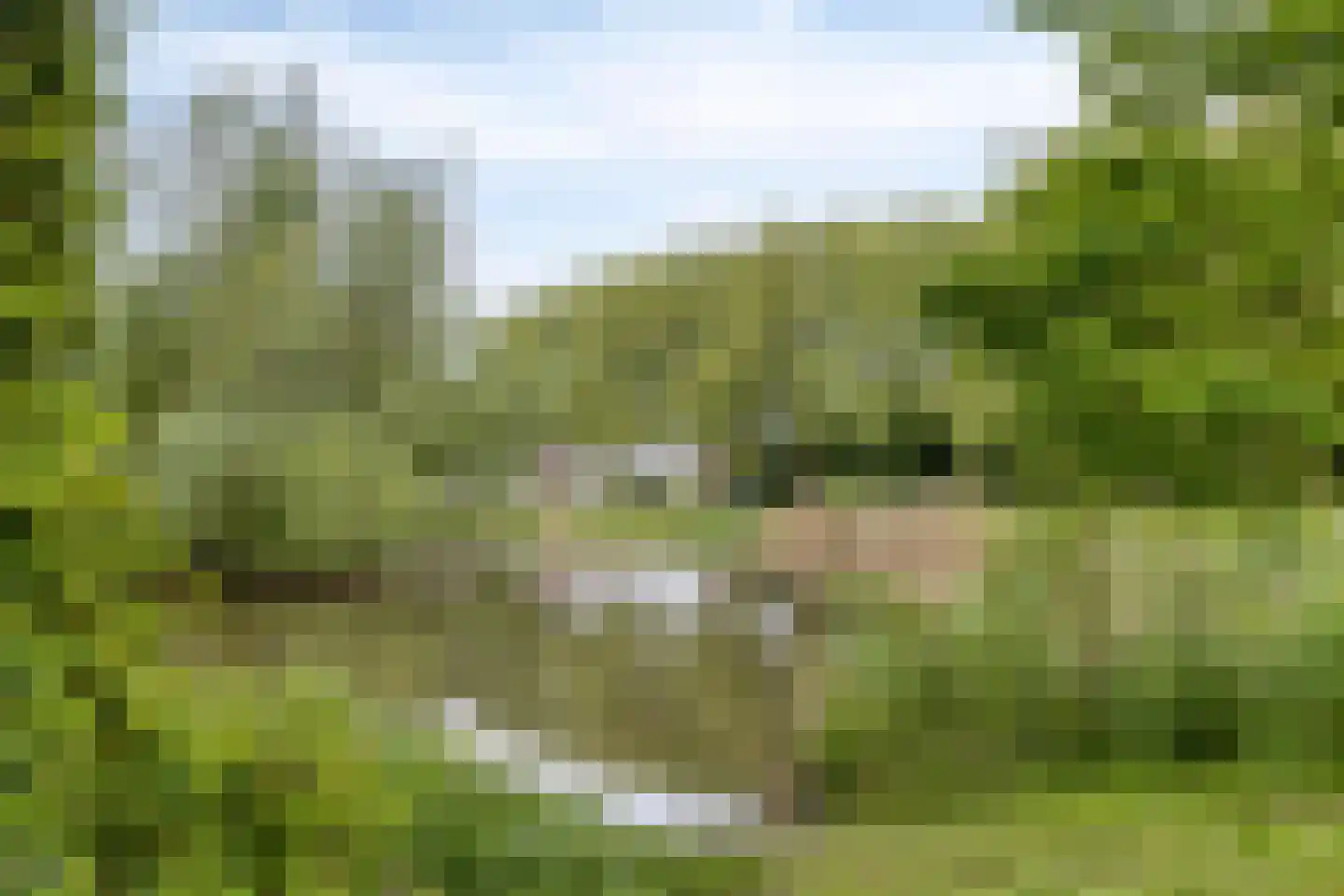 Habsburglaan 75 Eindhoven thumbnail 51