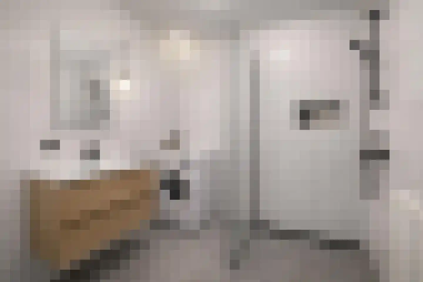 Habsburgstraat 15 B Rotterdam thumbnail 19
