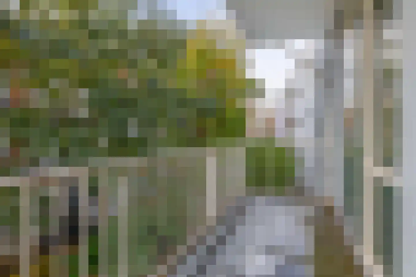 Habsburgstraat 15 B Rotterdam thumbnail 19