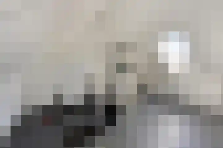 Hackenkamer 12 Maastricht thumbnail 20