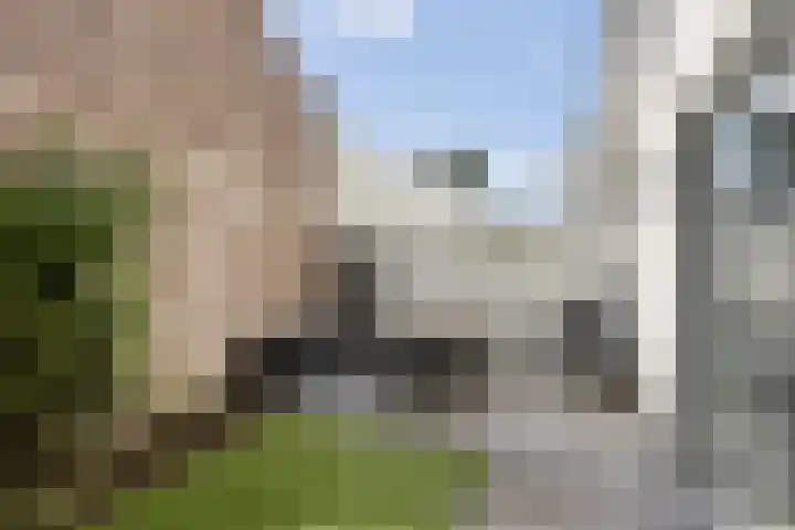 Hackenkamer 12 Maastricht thumbnail 26