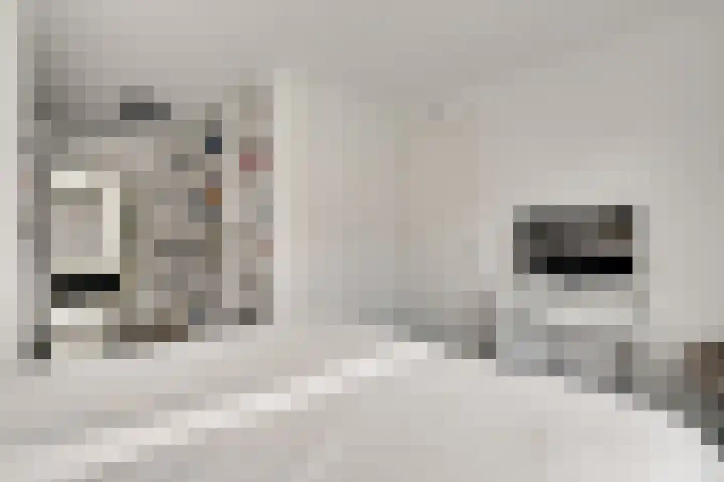 Hackenkamer 14 Maastricht thumbnail 10