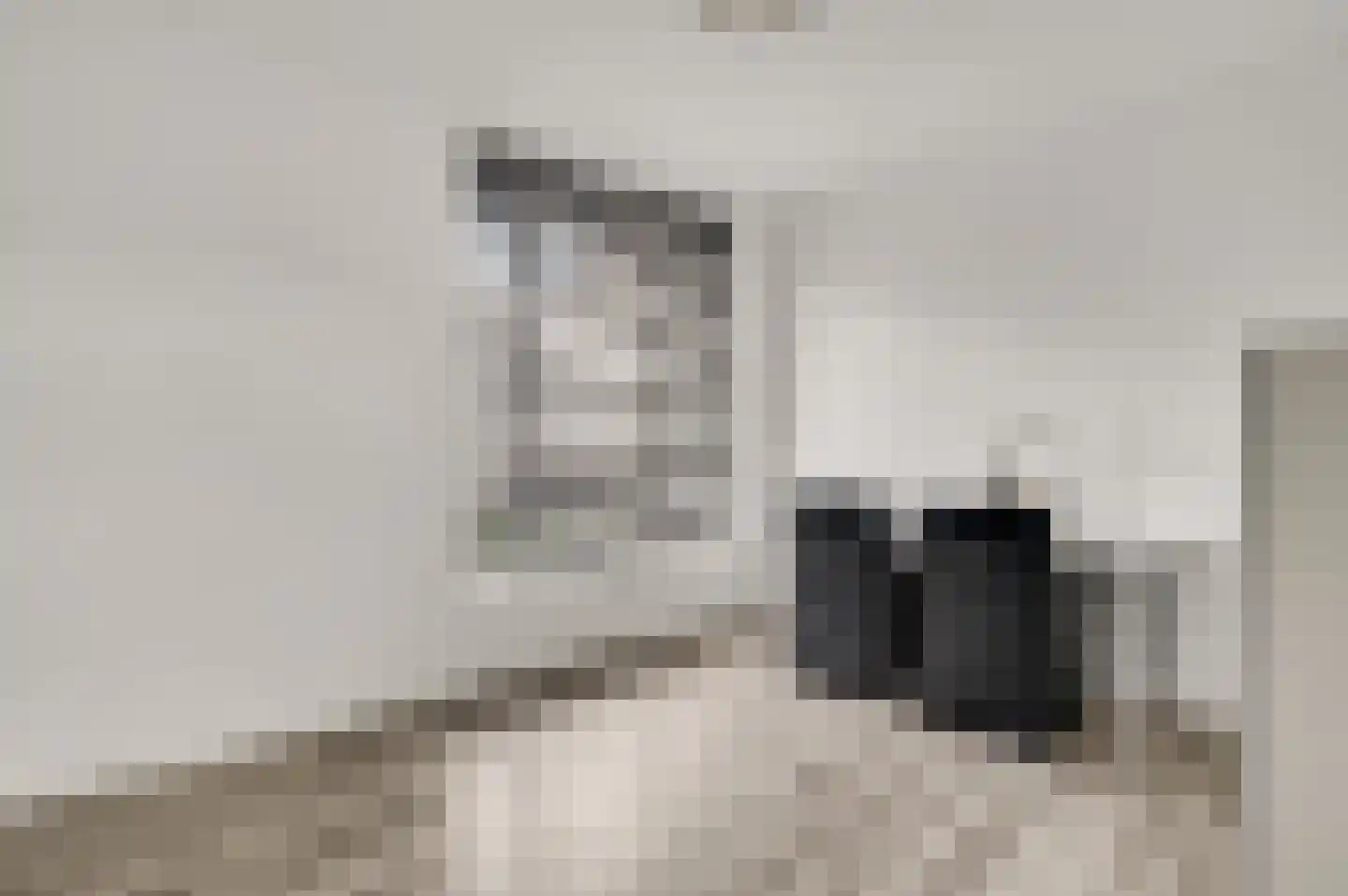 Hackenkamer 14 Maastricht thumbnail 11