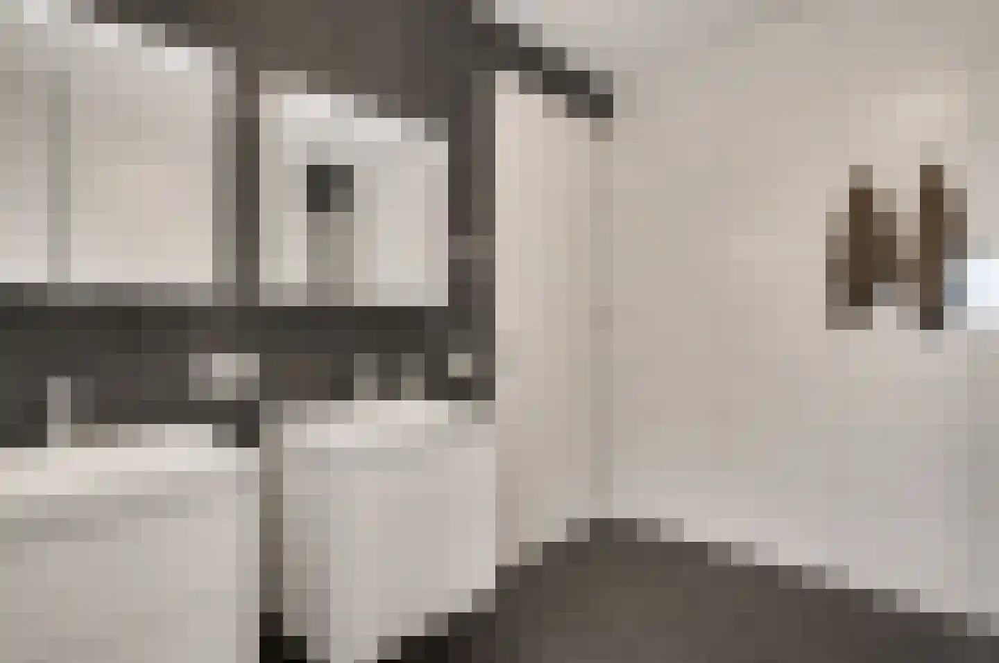 Hackenkamer 14 Maastricht thumbnail 16